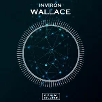 INVIRON - Wallace (Original Mix)