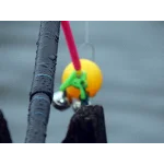 Рыбалка на озере и речная рыба