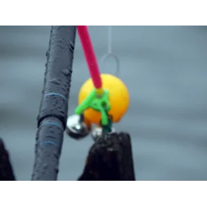 Рыбалка на озере и речная рыба