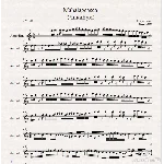 Mahalageasca" (ЧикиБум) Баян-Микс -Горан Брегович