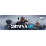 PUBG — Survivor Pass 4 Aftermath (Steam Ключ. Ру/СНГ)