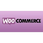 ТОП 5 Премиум шаблонов для WooCommerce 2019