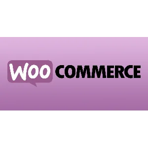 ТОП 5 Премиум шаблонов для WooCommerce 2019