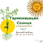 Курс «Гармонизация Солнца в вашем гороскопе»