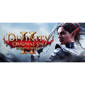 Divinity: Original Sin 2 - Def.Ed. Steam Access OFFLINE
