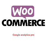 WP woocommerce-google-analytics-pro перевод на русский