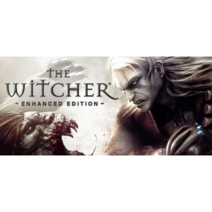 The Witcher Enhanced Edition Dir - Steam Access OFFLINE
