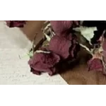 Однообразные Мелькают романс - ноты, табы