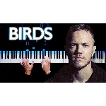 Imagine Dragons - Birds