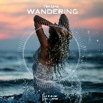 Tim Dian - Wandering (Original Mix)