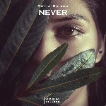 Stefre Roland - Never (Original Mix)