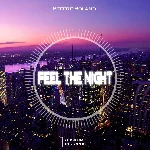 Stefre Roland - Feel The Night (Original Mix)