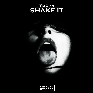 Tim Dian - Shake It (Original Mix)