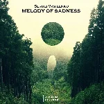 Sergei Vasilenko - Melody Of Sadness (Original Mix)