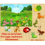 КТО КУДА СПРЯТАЛСЯ насекомые /электронная версия