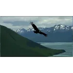 Медитативное упражнение 