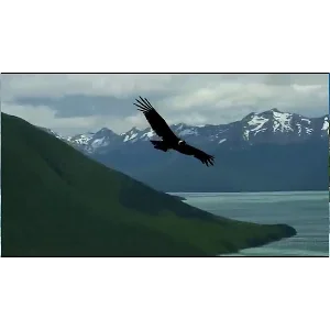 Медитативное упражнение "Моя вершина".