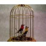 Нотр Дам - Птицы в клетках - ноты, табы