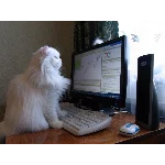 Видеокурс по ремонту ноутбуков-практическое руководство