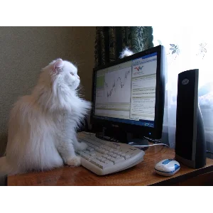 Видеокурс по ремонту ноутбуков-практическое руководство