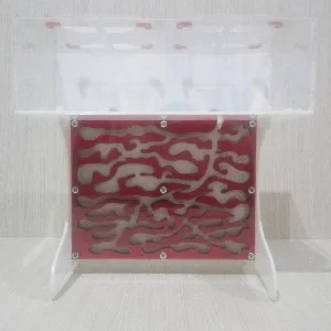 Макет (чертеж) верт. формикария с большой ареной