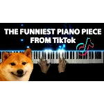 Monkeys Spinning Monkeys