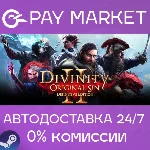 ⚡️Divinity: Original Sin 2 | АВТО |Steam gift Россия
