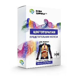 Цветотерапия  - Предстательная железа. Для мужчин