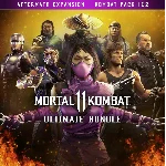 Mortal Kombat 11 Ultimate Add-On Bundle (Steam Gift RU)
