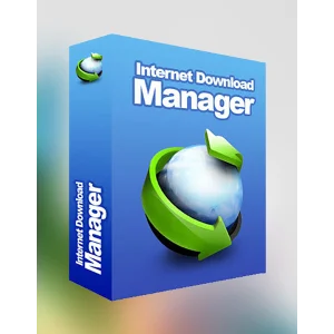 Internet Download Manager 1 ПК Бессрочный