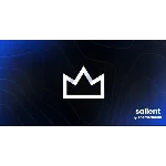 Salient [17.3.0] - Русификация премиум темы 🔥💜