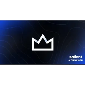Salient [17.3.0] - Русификация премиум темы 🔥💜