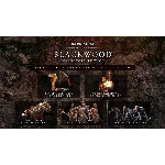 TESO: Blackwood Collector’s Edition ✅(GLOBAL КЛЮЧ)