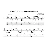 Вечер бродит по лесным дорожкам - на гитаре