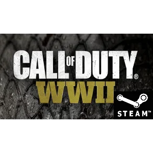 ⭐️ Call of Duty: WWII - STEAM (Region free) COD