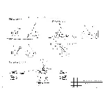 Проект производства работ Монтаж мачт освещения H=28.0м
