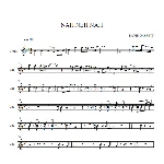 Nah Neh Nah-David Garrett (ноты для скрипки)