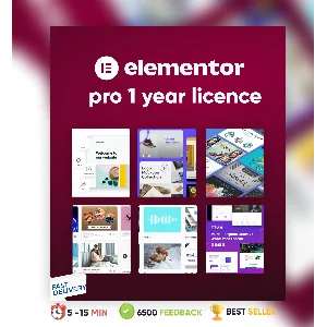 ⭐Elementor Pro 1 год Оригинальная лицензия на плагин ✅