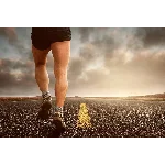 Справочник по спортивным добавкам и БАДам