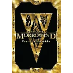 Elder Scrolls III Morrowind GOTY (Steam Gift RegFree)