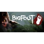 BIGFOOT - Steam общий оффлайн без активаторов 💳
