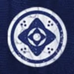 Destiny 2 Эмблема Нити Света PC/PS/XBOX