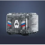 Подарок в честь Дня защитника Отечества (22)