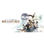 Pillars of Eternity II: Deadfire - Steam оффлайн💳