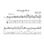 Nicolas Le Floch - OST (Стефан Муша) для гитары