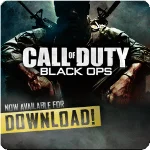 Call of Duty: Black Ops+II Gold+III PS3 ENG ✅