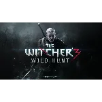 The Witcher 3: Wild Hunt / STEAM АККАУНТ / ГАРАНТИЯ