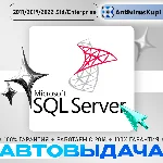 SQL Server 2017/2019/2022 Standard/Enterprise