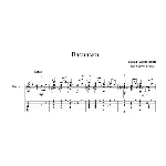 Васильки (Павел Аедоницкий) для гитары