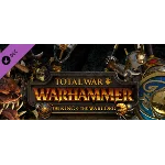 Total War: Warhammer - The King and the Warlord ROW KEY